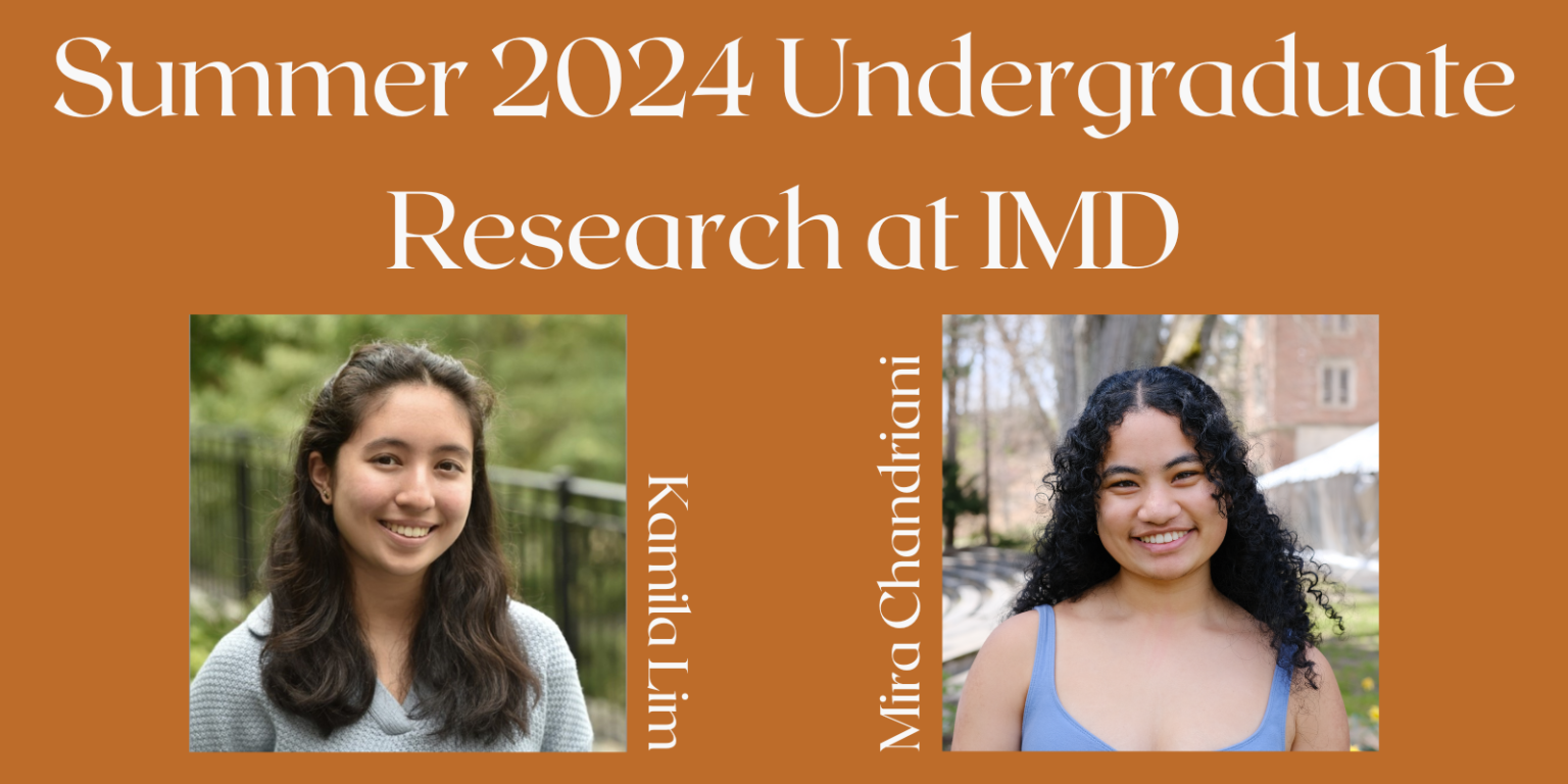 Undergraduate Summer Research - Institute for Mathematics and Democracy